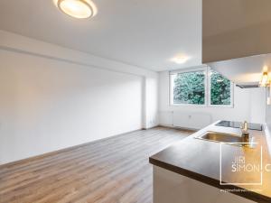 Prodej bytu 2+kk, Beroun - Beroun-Centrum, Na Klášteře, 43 m2