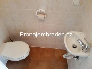 Pronájem bytu 2+kk, Hradec Králové, Mánesova, 48 m2