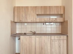 Pronájem bytu 1+kk, Ostrava - Poruba, Francouzská, 26 m2