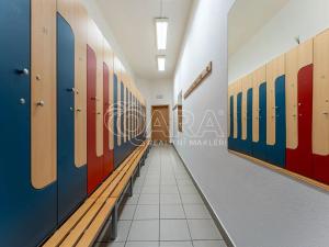 Prodej obchodního prostoru, Brno, Hrnčířská, 520 m2