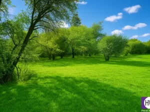 Prodej pozemku pro bydlení, Drevníky, 1255 m2