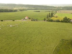 Prodej pozemku pro bydlení, Skuhrov, 769 m2