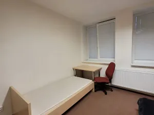 Pronájem pokoje, Brno, Vídeňská, 20 m2