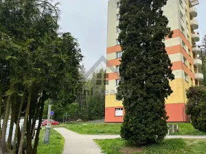 Prodej bytu 3+1, Loučovice, 73 m2