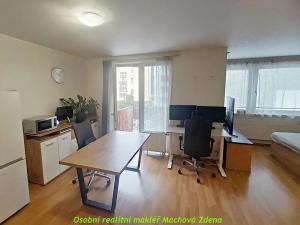 Pronájem bytu 1+kk, Praha - Vysočany, 56 m2