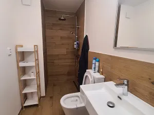 Pronájem bytu 1+kk, Praha - Holešovice, Dobrovského, 37 m2