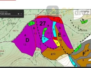 Dražba lesa, Trubín, Na Hrázi, 62499 m2