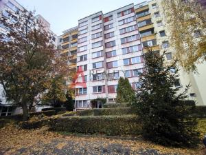 Prodej bytu 3+1, Písek, Jablonského, 65 m2