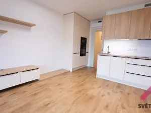 Pronájem bytu 1+kk, Praha - Žižkov, Šrámkové, 33 m2