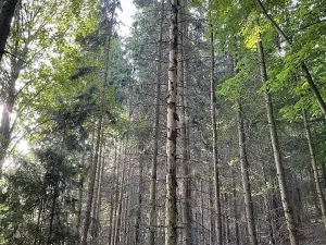 Prodej podílu pozemku, Útěchov, 25072 m2