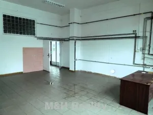 Pronájem výrobních prostor, Frýdlant nad Ostravicí, 100 m2