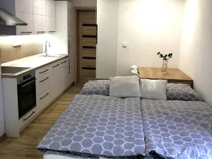 Pronájem bytu 1+kk, Zlín, Zadní luhy, 36 m2