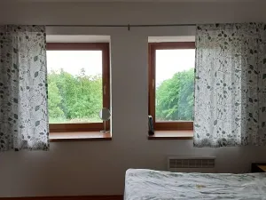 Pronájem bytu 1+kk, Těškov, 50 m2