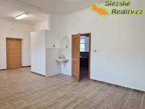 Pronájem obchodního prostoru, Ostrava, Šalounova, 77 m2