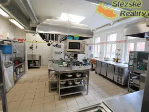 Pronájem restaurace, Ostrava, Slavníkovců, 150 m2