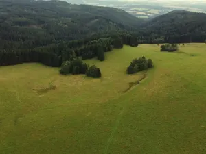 Dražba louky, Březová, 7363 m2