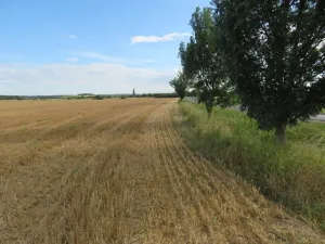 Dražba chaty, Žandov, 300 m2