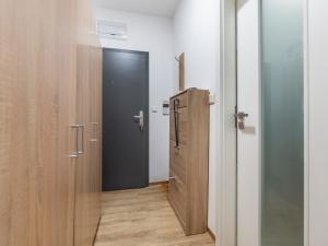 Pronájem bytu 1+kk, Ústí nad Labem, Velká Hradební, 30 m2