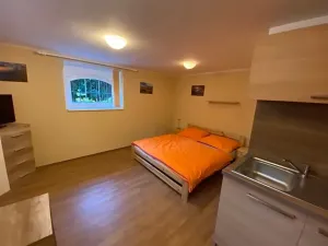 Pronájem bytu 1+kk, Liberec, Lázeňská, 33 m2