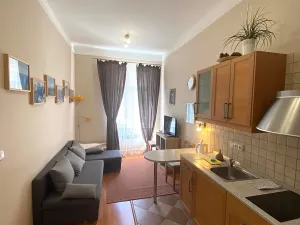 Prodej atypického bytu, Karlovy Vary, Zámecký vrch, 90 m2