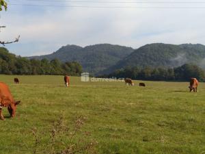 Prodej bytu 2+kk, Ústí nad Labem - Neštěmice, Na Výšině, 35 m2