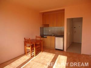 Prodej bytu 1+kk, Praha - Braník, Nad lesním divadlem, 24 m2