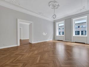 Pronájem obchodního prostoru, Praha - Nové Město, Vodičkova, 370 m2