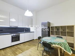 Pronájem bytu 1+kk, Praha - Bubeneč, Mlýnská, 53 m2