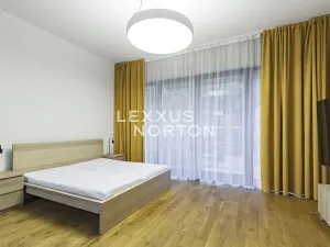 Pronájem bytu 1+kk, Praha - Bubeneč, Mlýnská, 53 m2