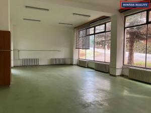 Pronájem výrobních prostor, Bučovice, Nová, 1 m2