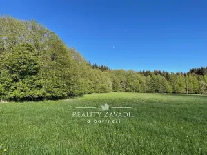 Prodej pozemku pro bydlení, Seč, 6335 m2