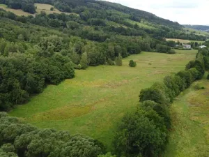 Dražba louky, Dešenice, 67850 m2