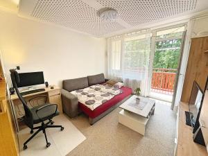 Pronájem bytu 1+kk, Liberec, Libušina, 28 m2