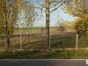 Prodej pozemku pro bydlení, Opočno - Čánka, 1021 m2