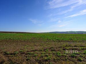 Prodej pozemku pro bydlení, Uherské Hradiště - Mařatice, Na Vyhlídce, 4811 m2