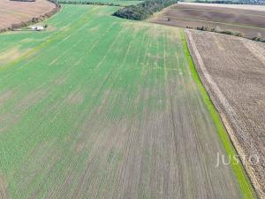 Prodej pozemku pro bydlení, Uherské Hradiště - Mařatice, Na Vyhlídce, 4811 m2