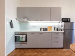 Pronájem bytu 2+kk, Praha - Vinohrady, Mánesova, 60 m2