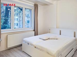 Pronájem bytu 2+kk, Praha - Žižkov, Viklefova, 47 m2