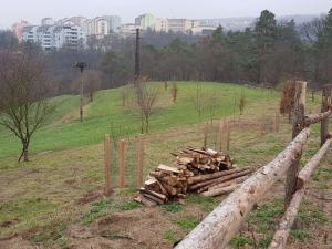 Prodej pozemku pro bydlení, Blansko - Klepačov, 14210 m2