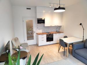 Pronájem bytu 1+kk, Praha - Strašnice, Počernická, 69 m2