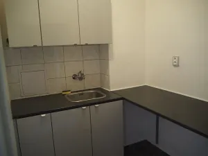 Pronájem bytu 1+kk, Teplice, Americká, 25 m2