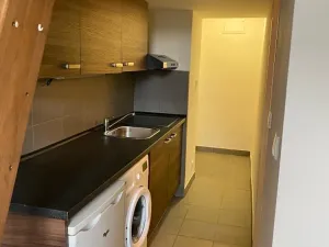 Pronájem bytu 1+kk, Praha - Vysočany, Freyova, 24 m2