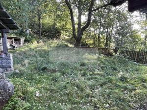 Prodej chalupy, Tanvald - Šumburk nad Desnou, 205 m2