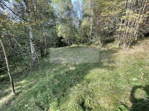 Prodej chalupy, Tanvald - Šumburk nad Desnou, 205 m2