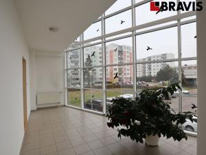 Pronájem bytu 1+kk, Brno - Líšeň, Jírova, 40 m2