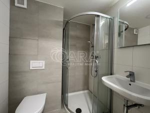 Pronájem bytu 2+kk, Praha - Hloubětín, Na obrátce, 29 m2