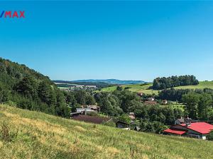 Prodej louky, Letohrad, 1658 m2