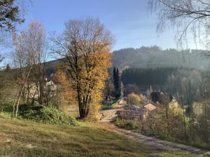 Prodej pozemku, Albrechtice v Jizerských horách, 3386 m2