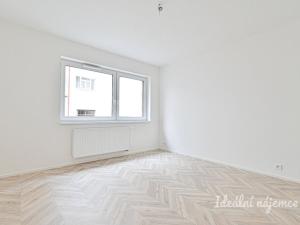 Pronájem bytu 1+kk, Brno, Cejl, 29 m2