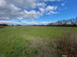 Prodej zahrady, Koválovice-Osíčany - Osíčany, 1236 m2